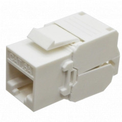 Модуль KeyStone RJ45 UTP, кат. 6a, безінструментний, Slim LW LW-KJ6A-04-C6A - Купити в Україні | Світ Безпеки