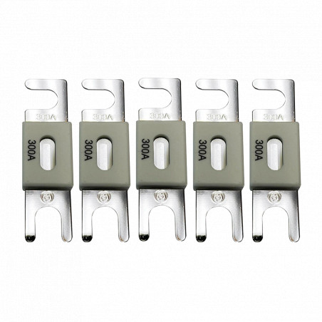 запобіжник Victron Energy ANL-fuse 300A/80V (5 pc) - Купити в Україні | Світ Безпеки